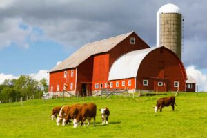 Entrepreneurial Rural and Animal Care Course in Finland