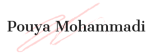 pouya mohammadi